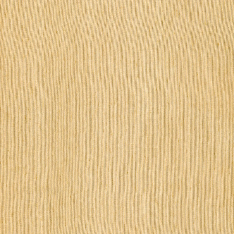 e8ad6dec36506cec68816fde5e981c8b