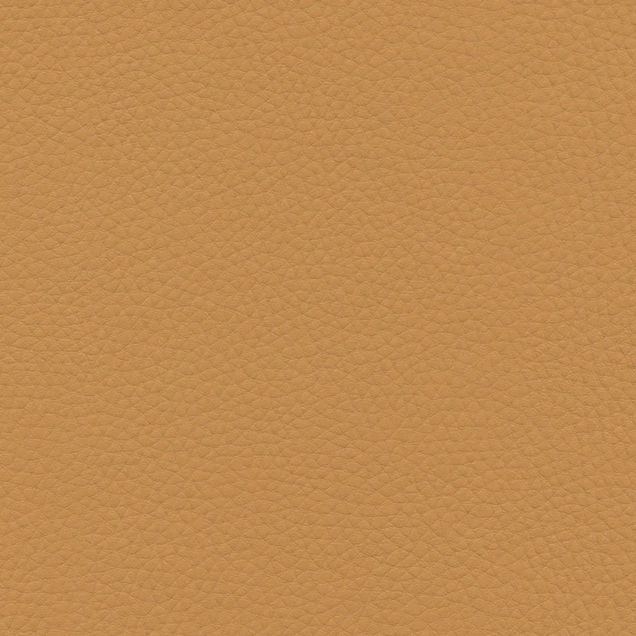 14ae8707f1d01d3f3c616bb1b7bdb7ae