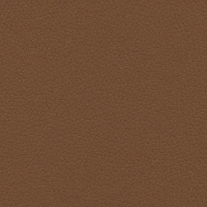 b79a3e0c3a6258cf906c775901a07623