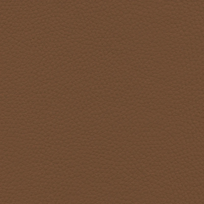 b79a3e0c3a6258cf906c775901a07623