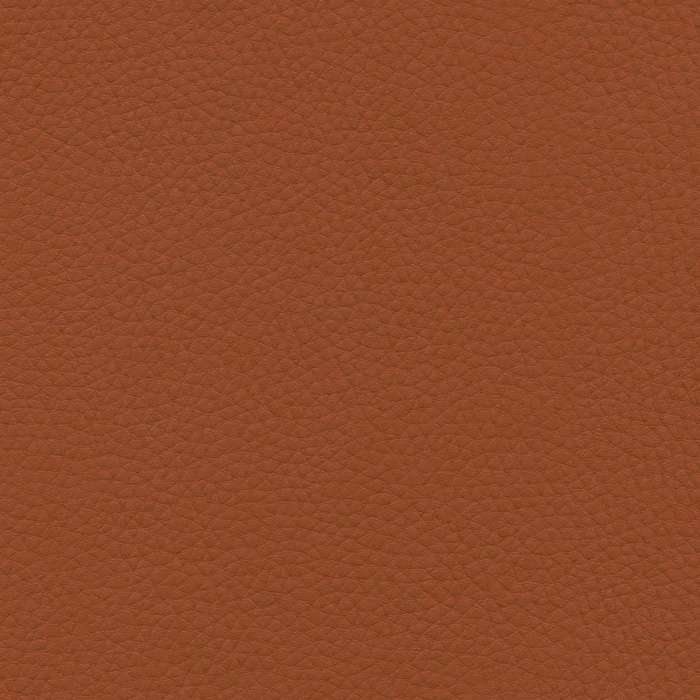 9e0f6eeb28dff16dca2b985a337a7e21