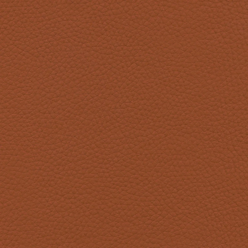 9e0f6eeb28dff16dca2b985a337a7e21