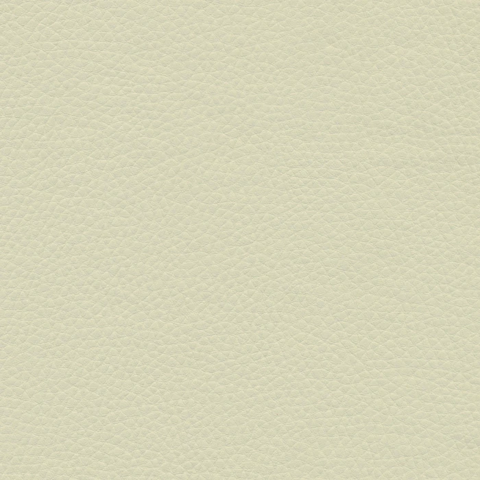 07e970fec994fb90de35b26e3cab8bd2