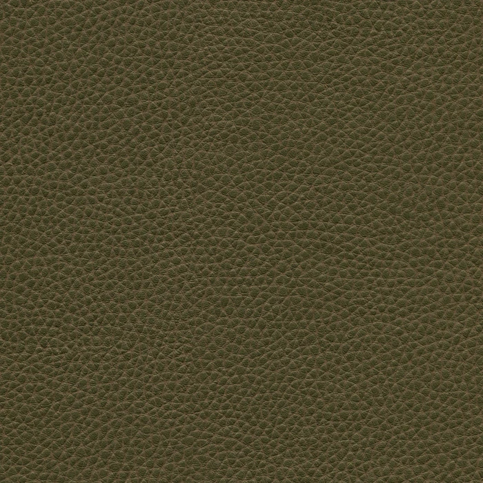 5ae117404bf96e392f6a441341edbe9e