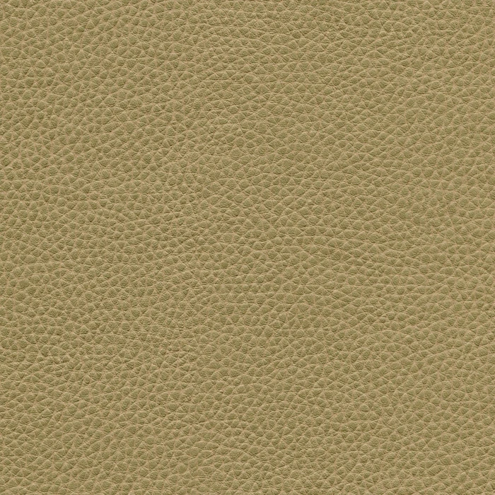 dd25473fe94b12f3a9d066a3ad775a4a