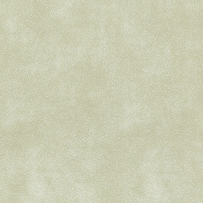 4c19cd0dd662d7e2aae0b73ed058918b