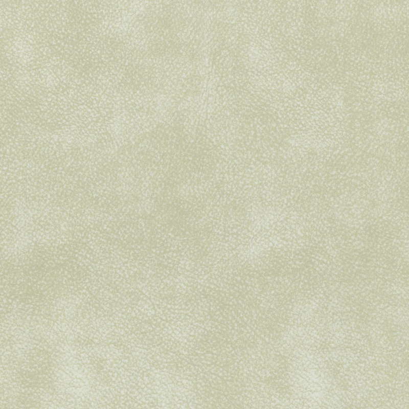 4c19cd0dd662d7e2aae0b73ed058918b