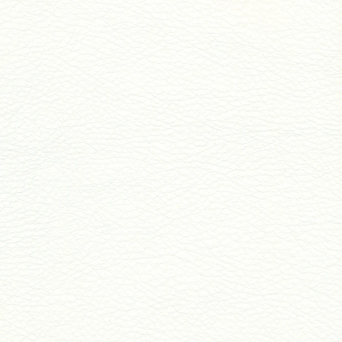 0badd1db00e7b9cd6cb5fc6aaaef4aa3