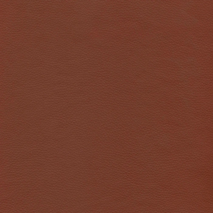 a55997afcb577f8b115c6671f6345493