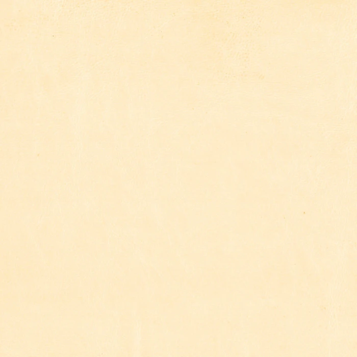 af813bbdc1c4a0830a965977ef50d3c3