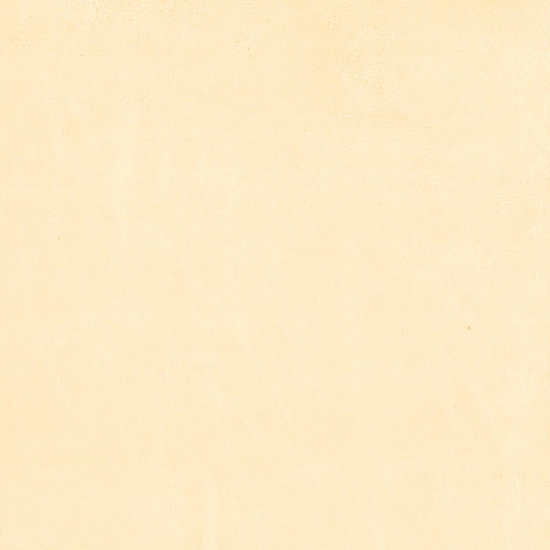 af813bbdc1c4a0830a965977ef50d3c3