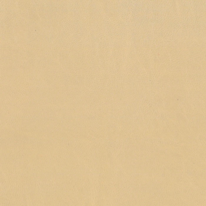 189f3013d5c84a1c6b102a8cbb648194