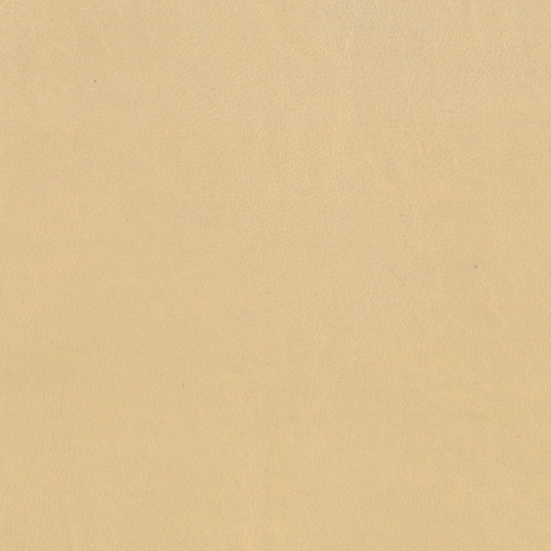 189f3013d5c84a1c6b102a8cbb648194