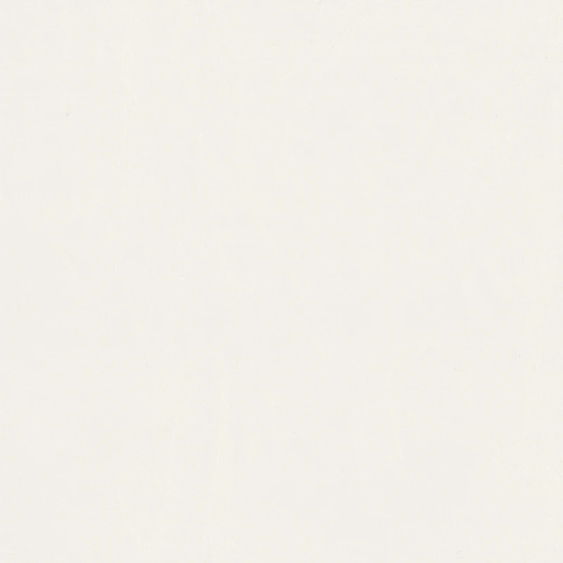 eae0f9321eb9e20a8ec3412fa0309a36