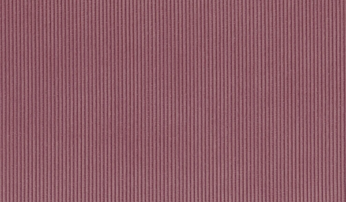 593eaeeec2678ef2fa7d8cd65b5987cd