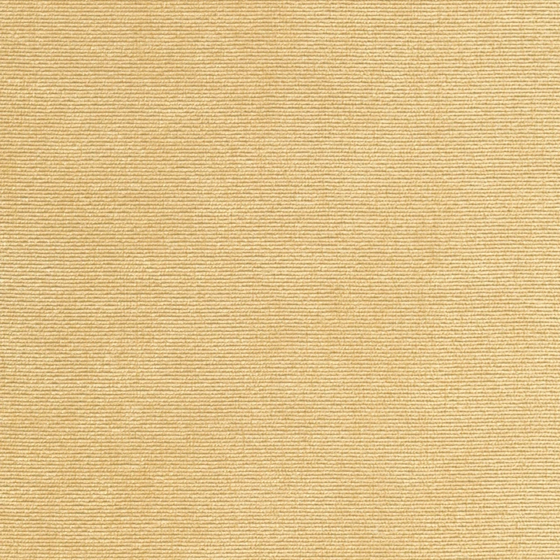 7a428d0fc3c423d38088ae11724f72bf