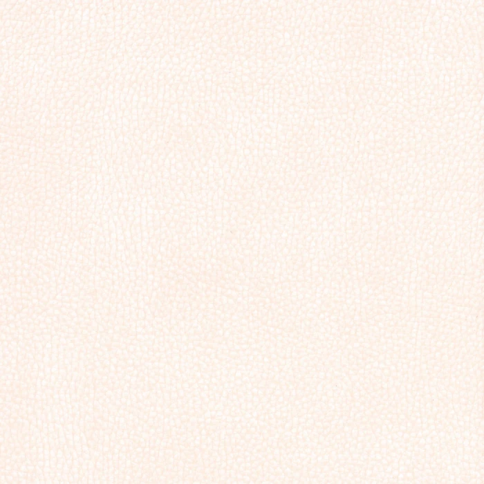 a3f31e177e17a660fa0f2b82889567cc