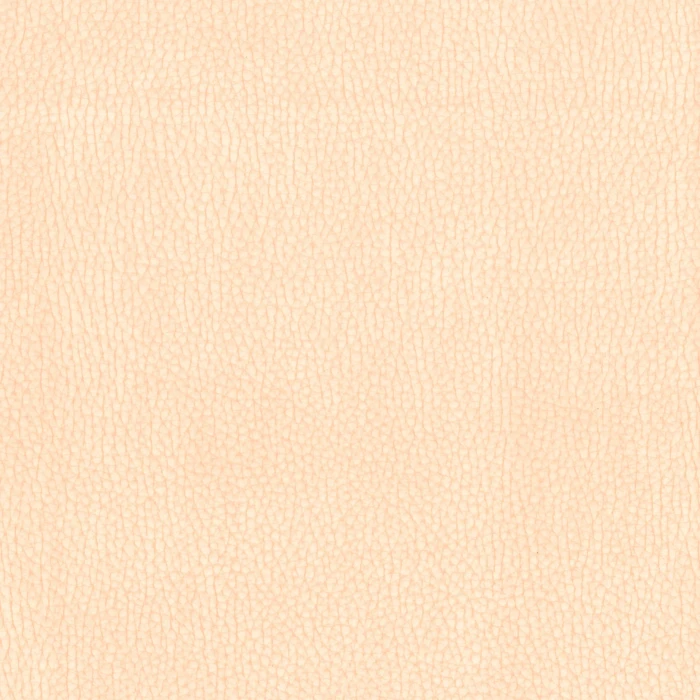 a85ec9f0014c161282aa13eaf503666c