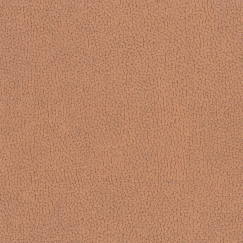 ff81e8848e1073830122bae56372508b