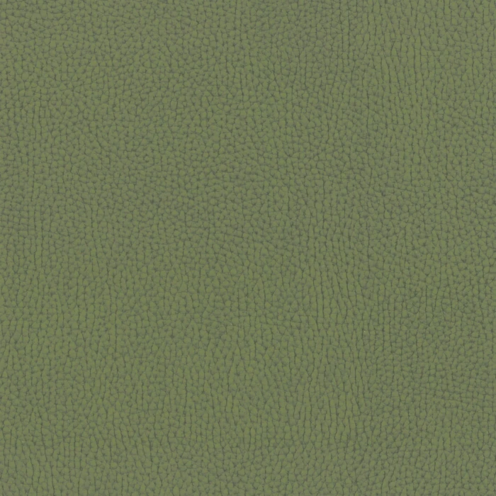 951e029dc87a2fb06a446588a586ecca