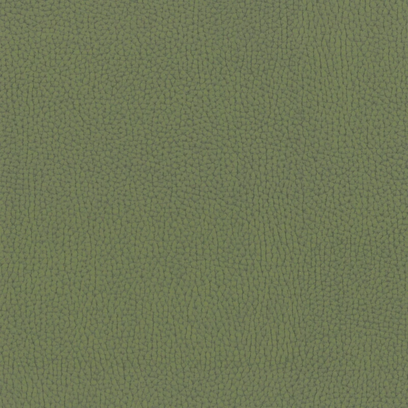 951e029dc87a2fb06a446588a586ecca