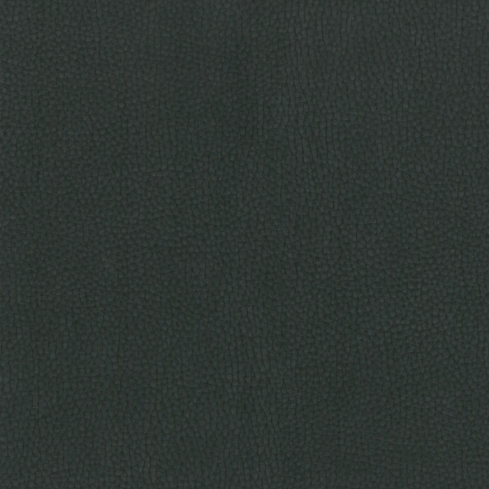 433cc8fbedd32a1ad94e0ef94f2cb924