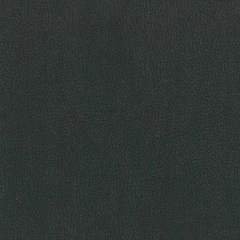 433cc8fbedd32a1ad94e0ef94f2cb924