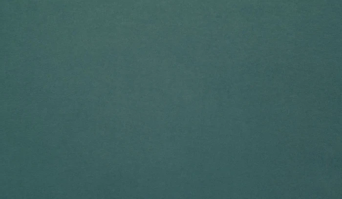 d8e9a65edb45924fb55a658aacc1c725