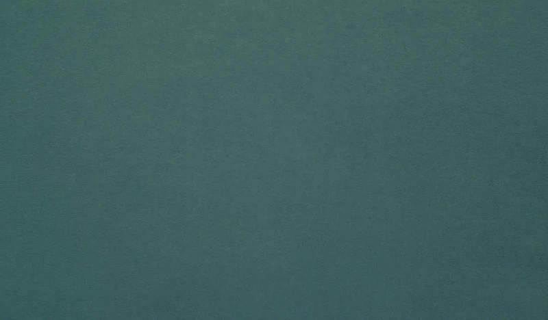 d8e9a65edb45924fb55a658aacc1c725