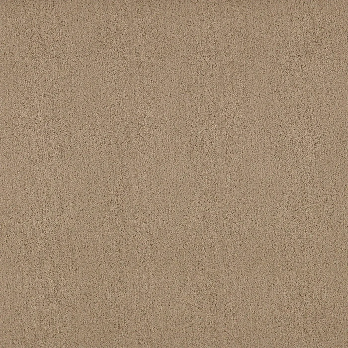 6fca013d1e70b535d3d3ecf80a1dc81e