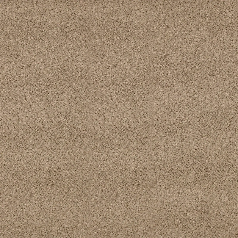 6fca013d1e70b535d3d3ecf80a1dc81e