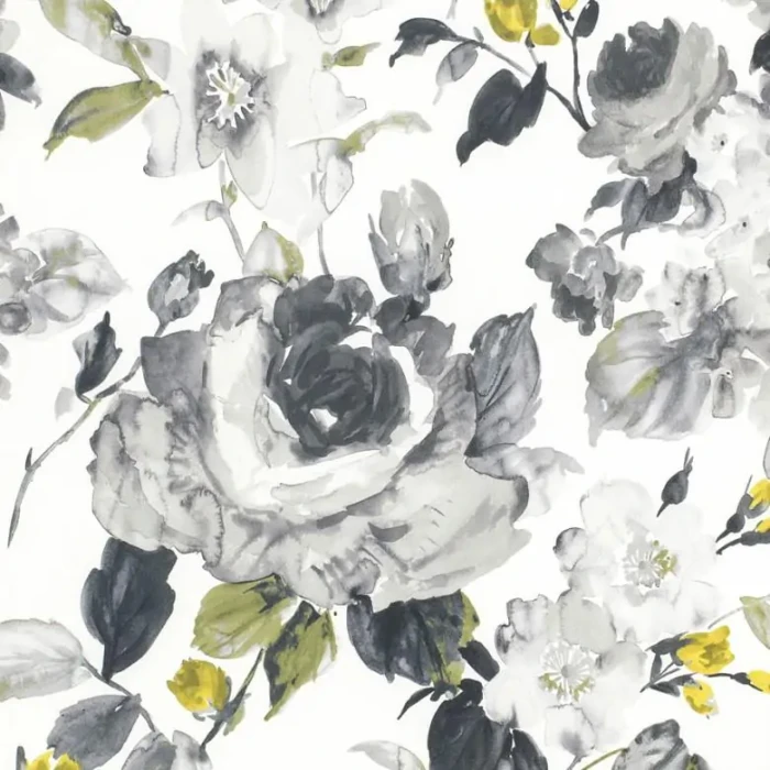 6dd3c05fd06652785020b61daa18137e