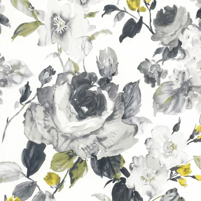 6dd3c05fd06652785020b61daa18137e