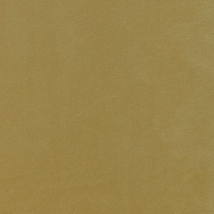 b509f2a1d4d92d00d3f2c510ca2a26b8