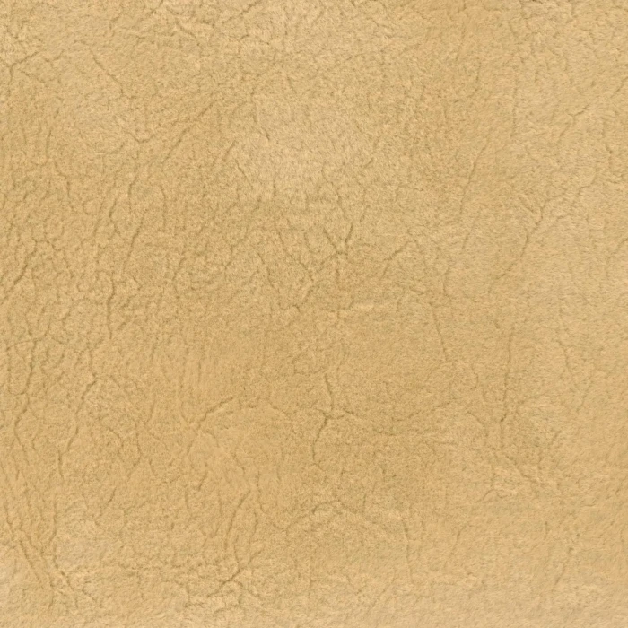 b0f8a5059436503b6d0cf647d4055e80