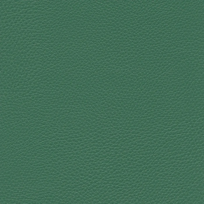 d1f554172baddda959d40d761fc8f88c