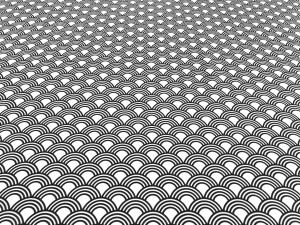 e65d2a78d81357460d45d5cccd3b4c99.jpg