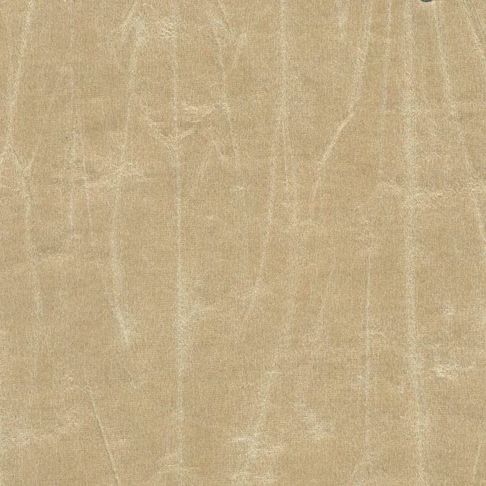 7febfb2dc6cf88503b0453af97d43e22