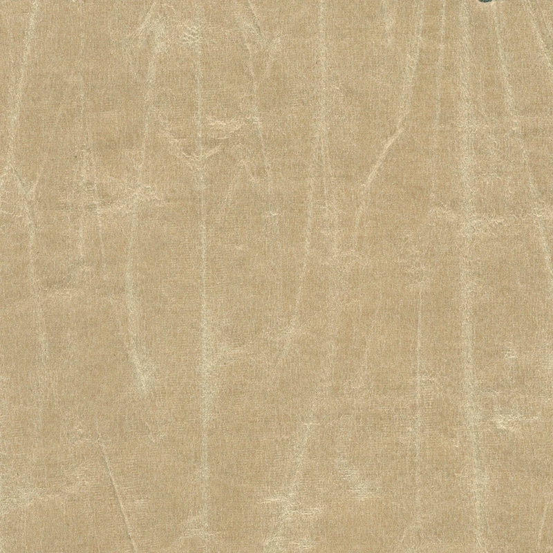 7febfb2dc6cf88503b0453af97d43e22