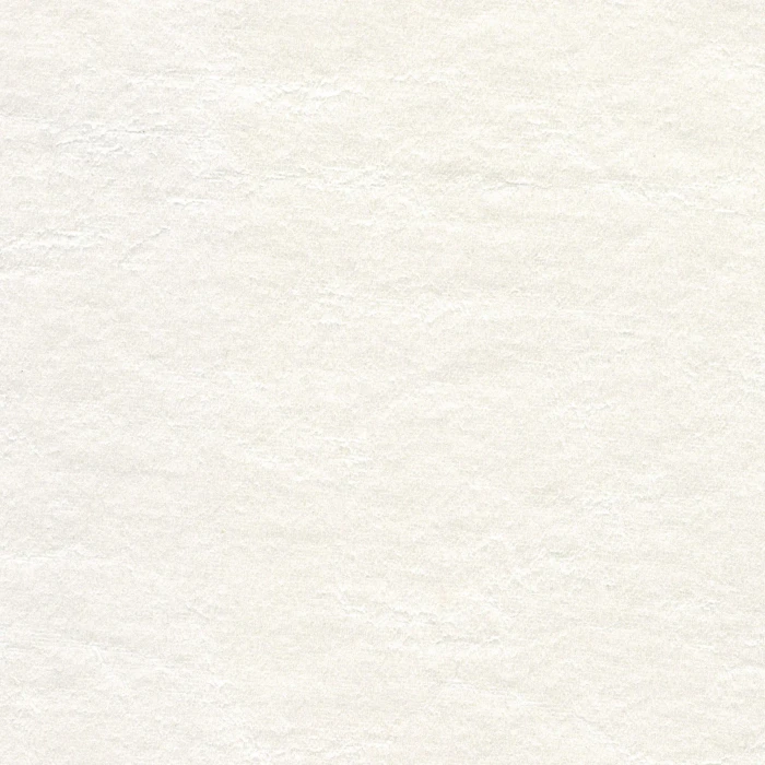 95c96d411716924d21f9721cdcd3ed64