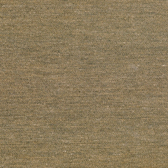 d0b3adc1ed9d901246a2b572ac2013fe