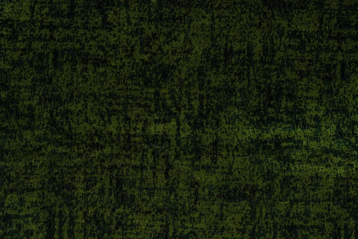 0041560536a0dd86662cd2543f8b8502