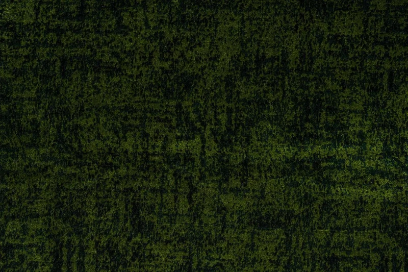 0041560536a0dd86662cd2543f8b8502