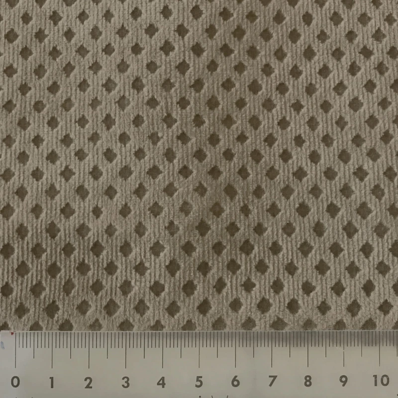 5511.jpg