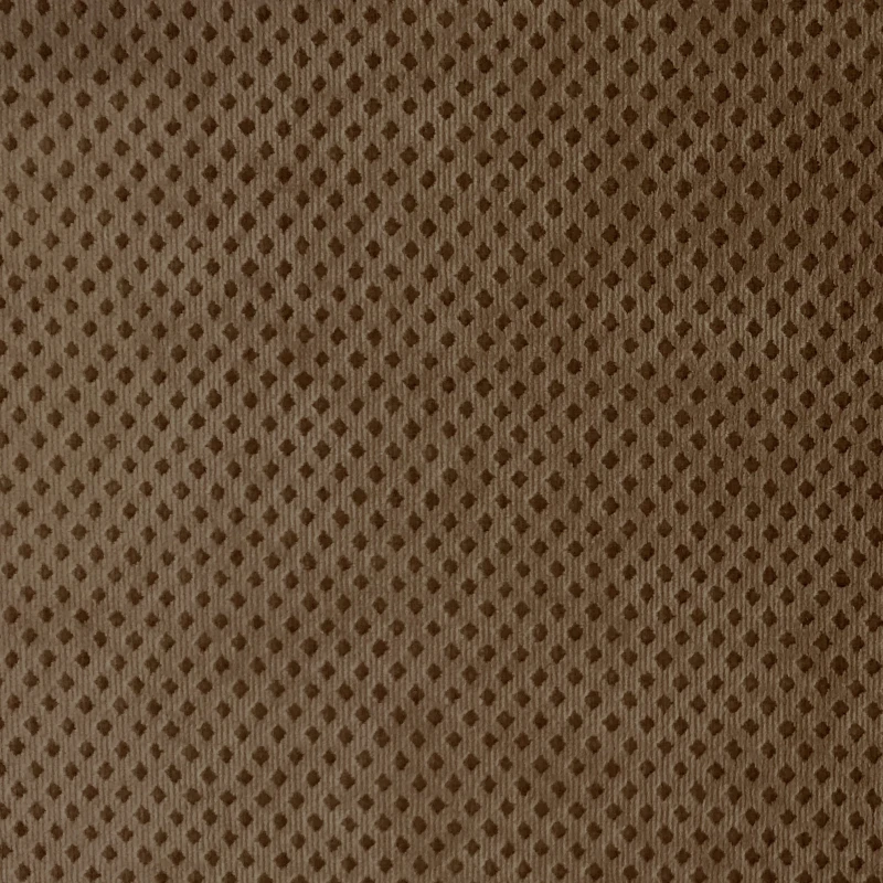 5503.jpg