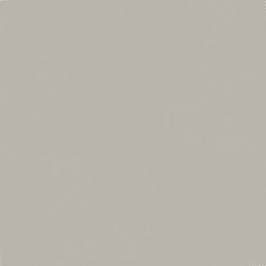 984eefe45dc96a9e6cb0d46095cb4d06