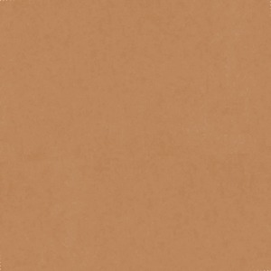 ba902c333e855580ef808999f6993b37