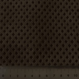 5514.jpg