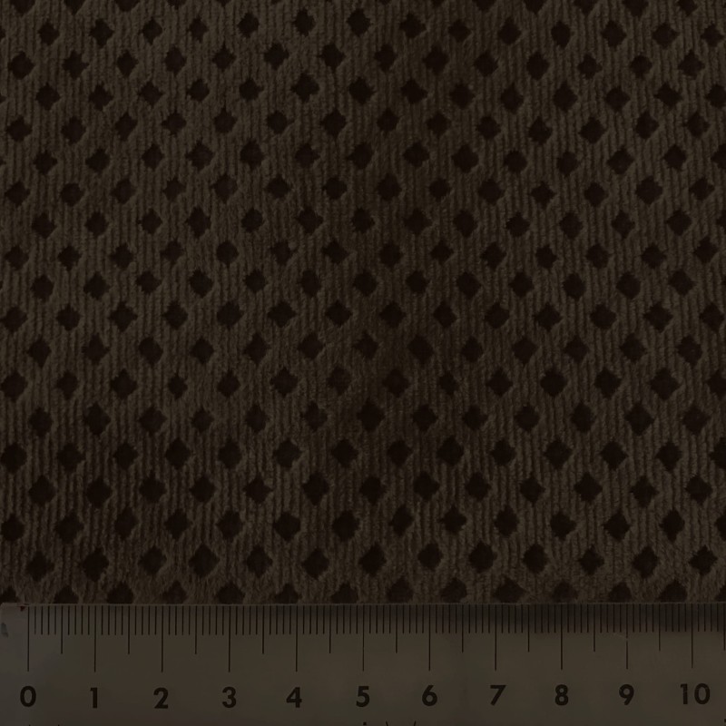 5514.jpg