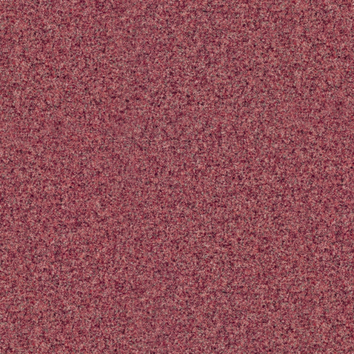 d52bb455fa24cde4055eb555d4d81489